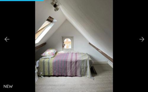 West Hampstead House | Cedar House