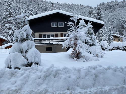 La Bresse Ski Chalet | CHALET DES HAUTS SAPINS LA BRESSE