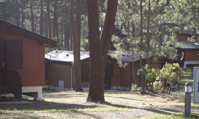 Maubuisson Ski Chalet | Chalet en Bois Dans la Foret de Pins Entre lac et Océan - Calme -