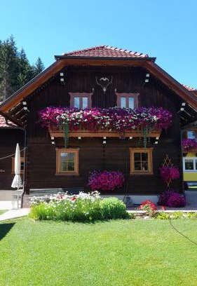 Tamsweg House | Chalet Taurachblick
