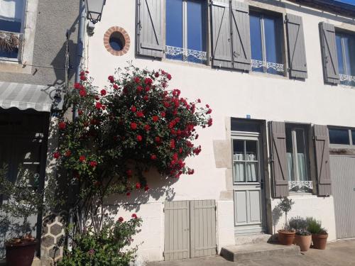 Charroux House | Charmante maison ancienne avec jardin clos, animaux admis - FR-1-489-538