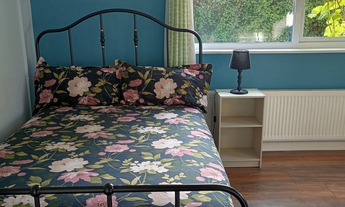 Carlow House | Charming 2-bedrooms suite with Hi Speed Wifi 1hr from Dublin near attractions