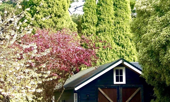 Moss Vale Cottage | Charming converted country stable located on a 120 acre horse property