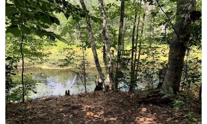 Tomahawk Cottage | Charming Cottage by Lake Nokomis