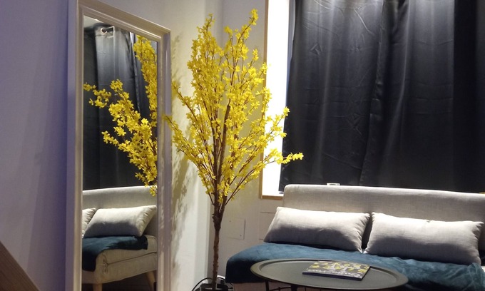Equeurdreville-Hainneville Apartment | Charming studio in the heart of a shopping street, 2 steps from NAVAL GROUP