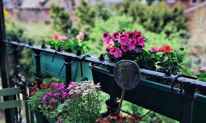 Highgate Apartment | Charming London With Balcony