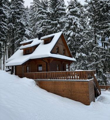 Horni Becva Villa | Chata na přehradě s vlastním wellness