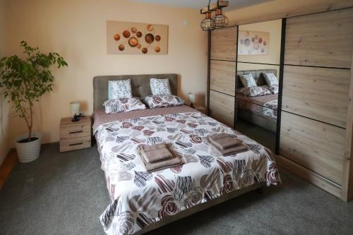 Zajecar Apartment | City center