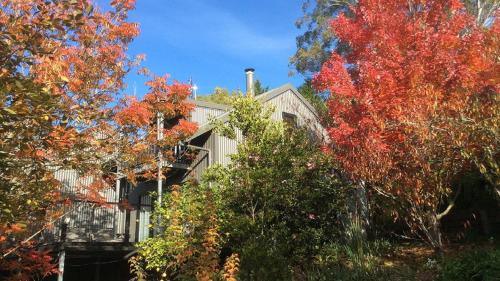 Kangaroo Valley House | Cloudsong Chalet 4 Close to the village centre