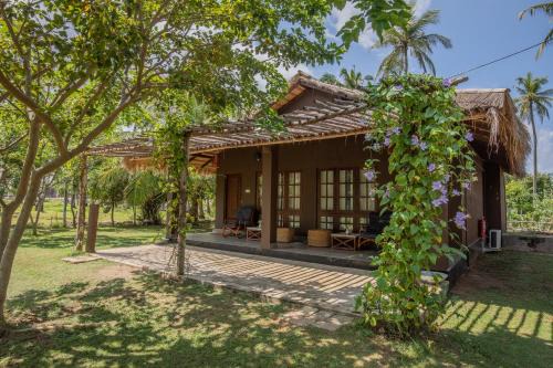 Kandakuliya Hotel | Club Mango Resort
