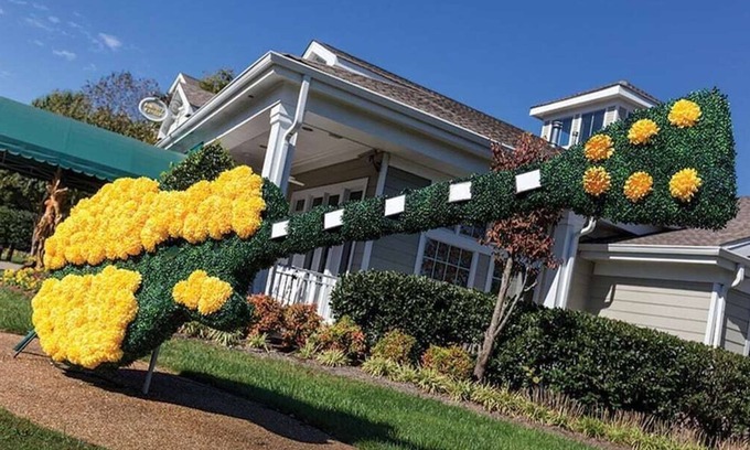 Pennington Bend Resort | Club Wyndham Nashville Tennessee Resort-2 Bedroom Deluxe