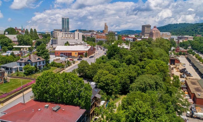 Downtown Asheville Apartment | Cobalt Corner Dog Friendly Park Free Onsite