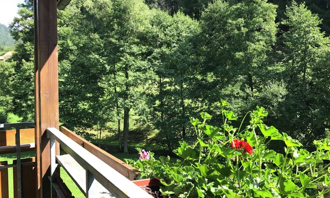 Obertal Apartment | Comfortable apartment in Baiersbronn with balcony