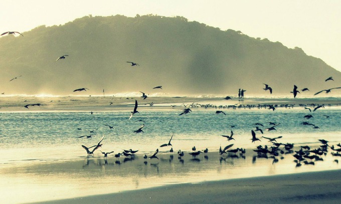 Barra de Ibiraquera House | Comfortable house w /view to the sea w /wi-fi - Ibiraquera beach.