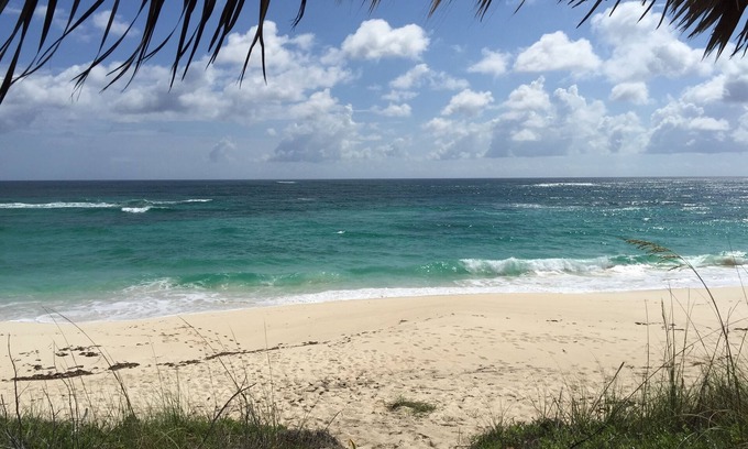 James Cistern Condo | Condo w/Views, Beach, Htd Pool, Pickleball, Golf Cart, Gym,Walk to Restaurant