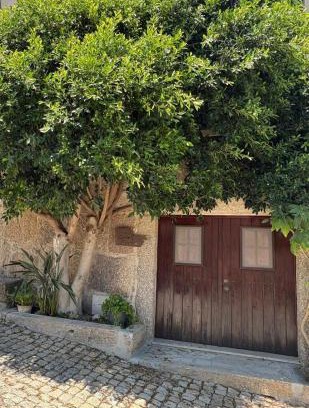 Zebras House | Corte Grande