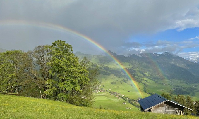 Zweisimmen Apartment | Cosy apartment for 3 guests with WIFI, balcony and pets allowed