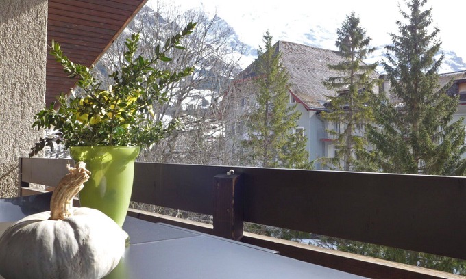 Wengen Apartment | Cosy apartment for 5 guests with WIFI, TV and balcony