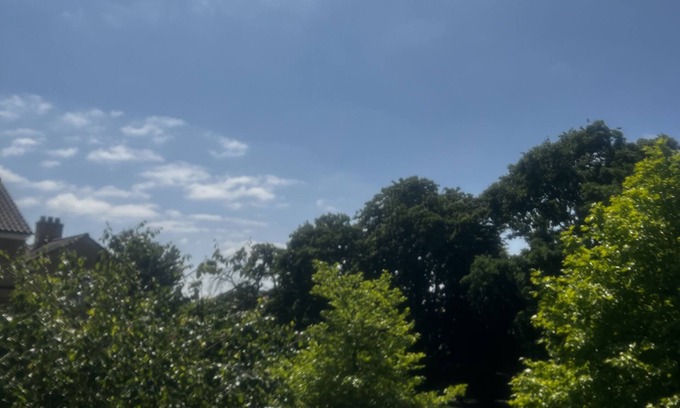 College Apartment | Cosy Dulwich next to Arts Centre Crystal Palace