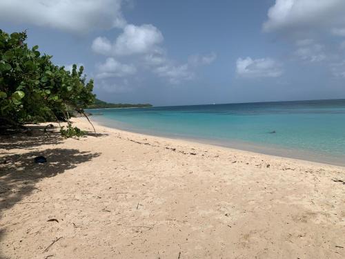 Saint-Francois Apartment | Coté plage Le Balaou Saint Francois