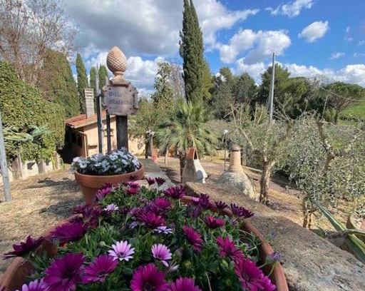 Arcille House | Country house in Maremma Villa Mafalda