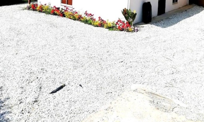 Rionegro Cottage | Country House The Vega