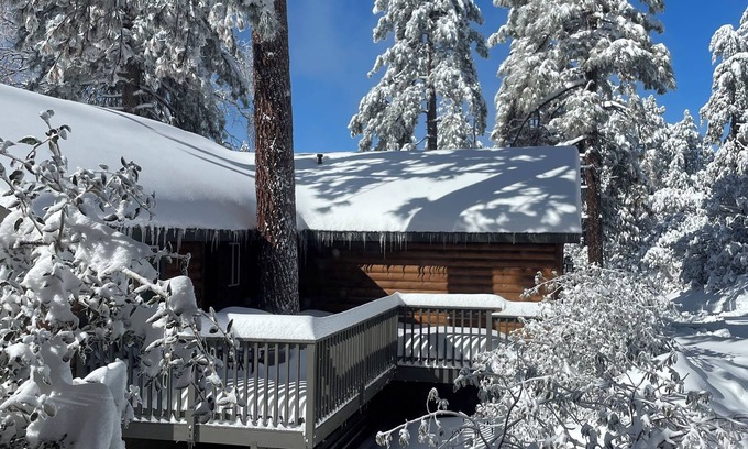 Pine Cove House | Cozy 3 bedroom house in Idyllwild with garage and electric car charging outlet.