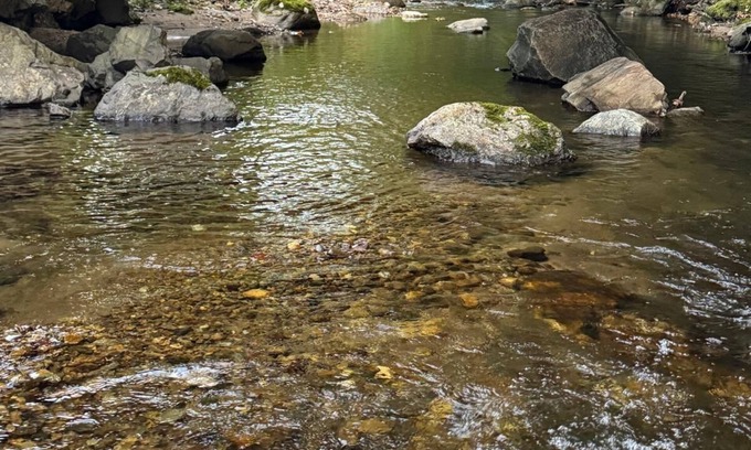 Woodbury Cabin | Cozy 3-bedroom cabin in Woodbury. With Brook and mountain to enjoy.