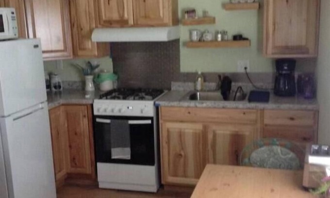 Springfield Cabin | Cozy cabin in charming Rogersville area with WiFi, AC. Rural