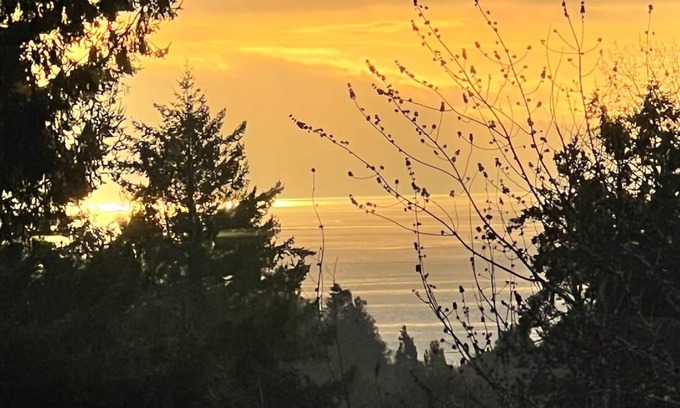 Cordova Bay House | Cozy Cordova Bay Suite - 5min from beach!