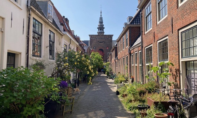 Centrum House | Cozy family house from 1900 in the old center of Haarlem