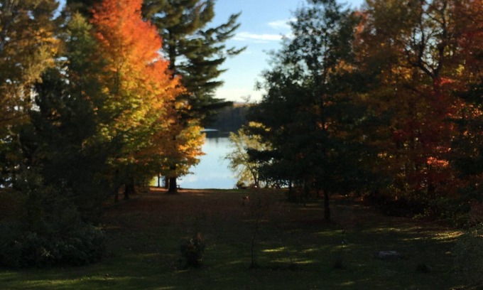 Derby Cabin | Cozy lakeside cabin with AC and WiFi . 240 ft private beach and dock