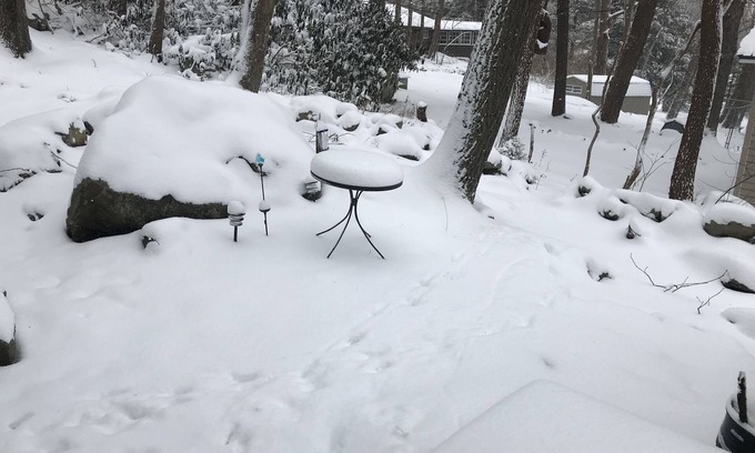 Jefferson Township Cabin | Cozy Laurel Highlands Cabin Minutes to Ski Resorts, Fishing, Hiking, etc.