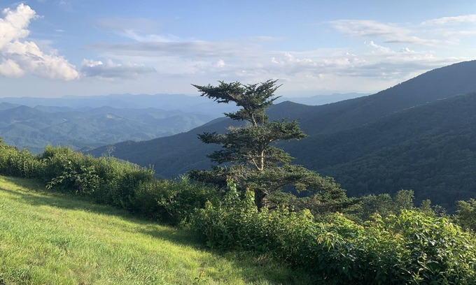Waynesville Cottage | Cozy Mountain Cottage near Downtown