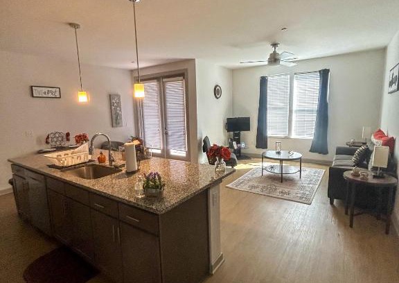 Shockoe Bottom Apartment | Cozy & Spacious Gem downtown Richmond, mins to VCU
