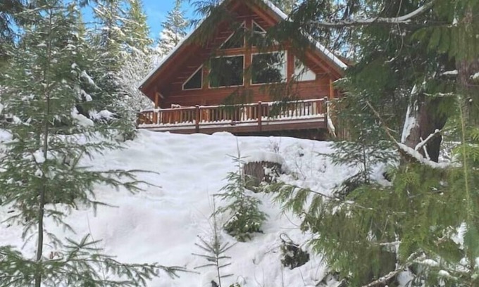 Packwood Cabin | Creekside Cabin- nature just footsteps away!