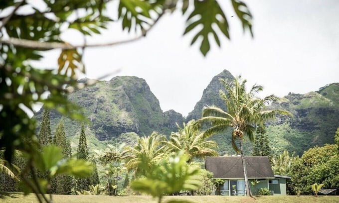 Anahola House | Cute and quaint little cottage on a homestead.