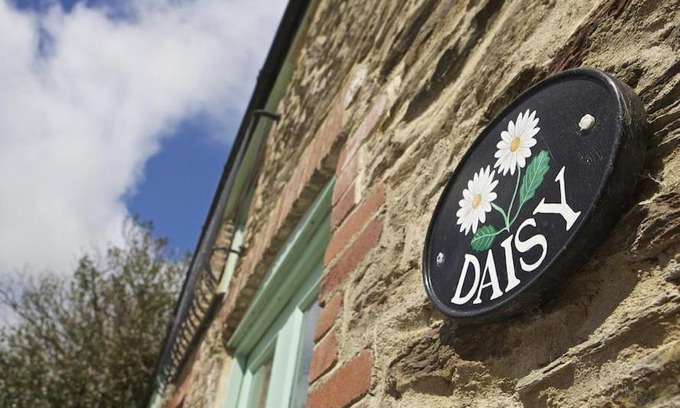 Chillington House | Daisy