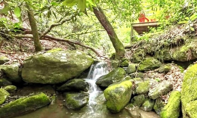 Highlands Cabin | Dancing Bear: Top rated on 2 Private Creek acres w screened porch, WiFi, Grill