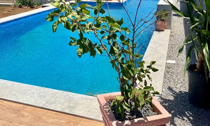 El Haouaria Villa | Dar Aycha