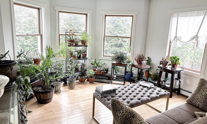 Stanfordville House | Delightful Farm Stay In Horse Country: High speed Wifi, Freshly Laid Eggs Daily