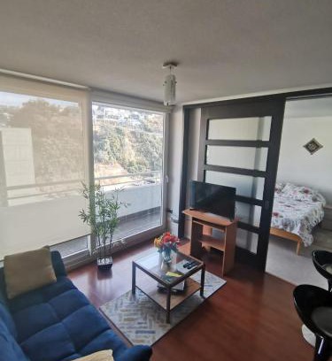 Vina del Mar Apartment | Departamento central Viña del Mar