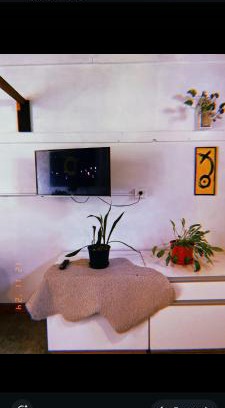 Alta Gracia Apartment | Departamento katzen