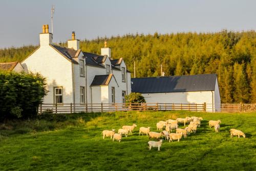 Castle Douglas House | Diamonds Laggan