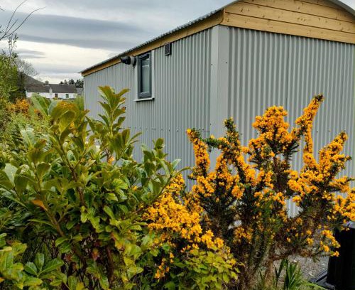 Annascaul Other | Dingle Way Glamping DANÚ Annascaul