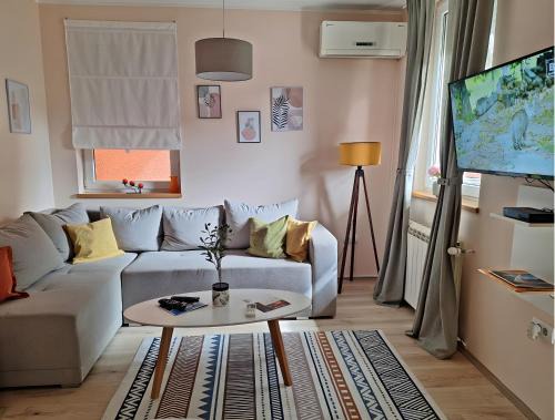 Arandelovac Apartment | Divna