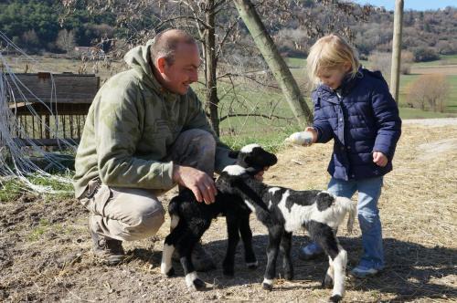 Forcalquier House | Domaine du Bas Chalus