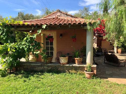 Querciolo Apartment | Domaine Le Clos des Oliviers