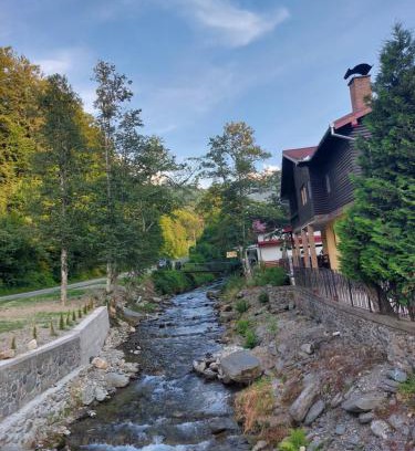 Cartisoara House | Dor de Munte Transfăgarasan