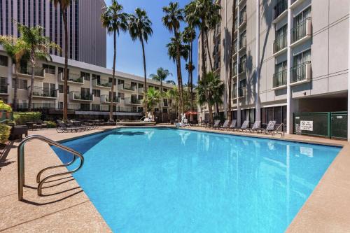 Encanto Hotel | DoubleTree by Hilton Phoenix Midtown